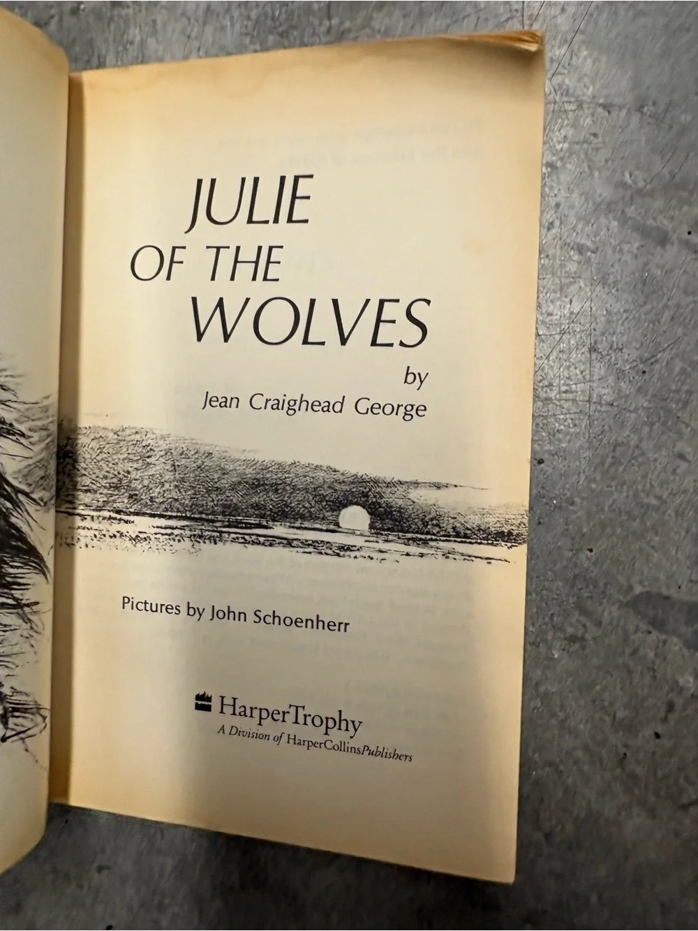 Vintage Paperback Julie of the Wolves